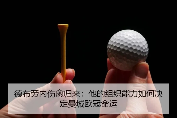 de-bu-lao-nei-shang-yu-gui-lai-ta-de-zu-zhi-neng-li-ru-he-jue-ding-man-cheng-ou-guan-ming-yun-2-215.jpg